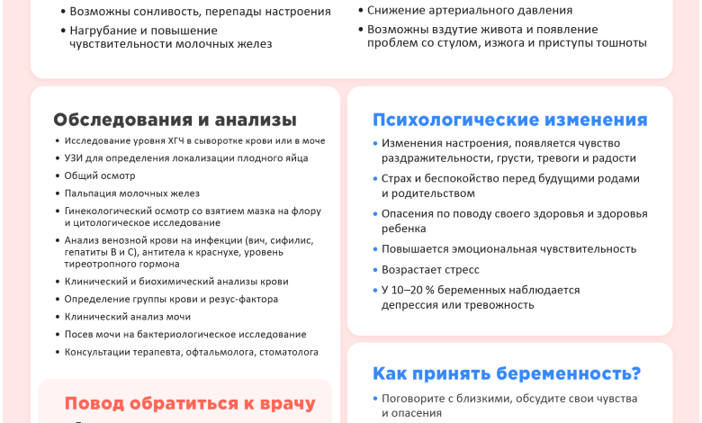 Photo of Симптомы беременности: что ждать