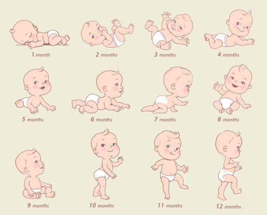 Photo of Развитие плода на каждом сроке