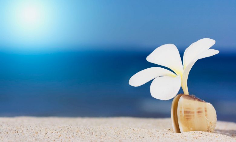 Photo of Внутренняя гармония и красота